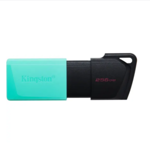 Pendrive Kingston 256gb Usb 3.2