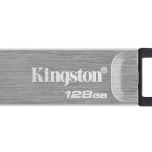Pendrive Kingston 256 Gb